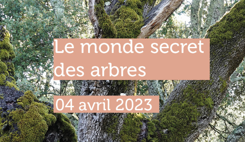 Mon Arbre 2023 : deux parcours biodiversité à Cadarache