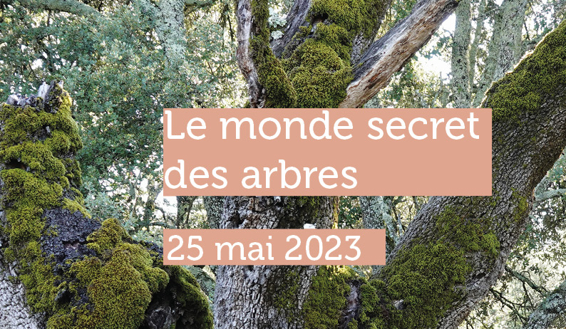 Parcours biodiversité le 25 mai à Cadarache