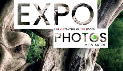 Mon Arbre s’expose à Peyrolles du 28 février au 23 mars