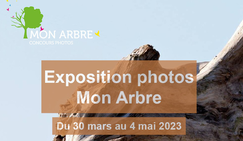 Exposition de photos Mon Arbre à Rians