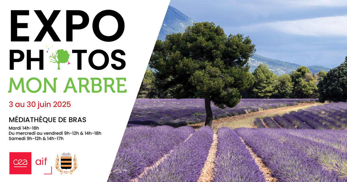 Exposition Mon Arbre à Bras